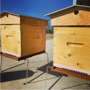 exploitation, producteur d'oeufs et produits fermiers bio à Guillonville 28